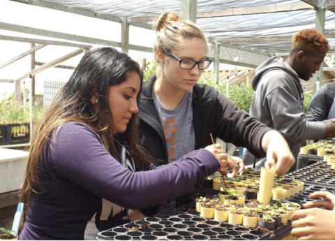 Two girls in the Aim High program work in a greenhouse